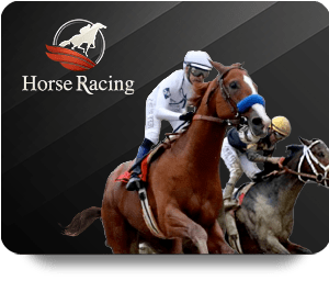 Movewinbet vs Lottovip: Customer Support and Responsiveness Compared